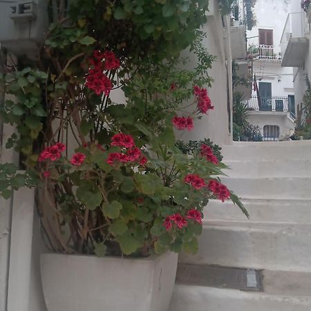 La Chicca Di C.Cavour 호텔 오스투니 외부 사진
